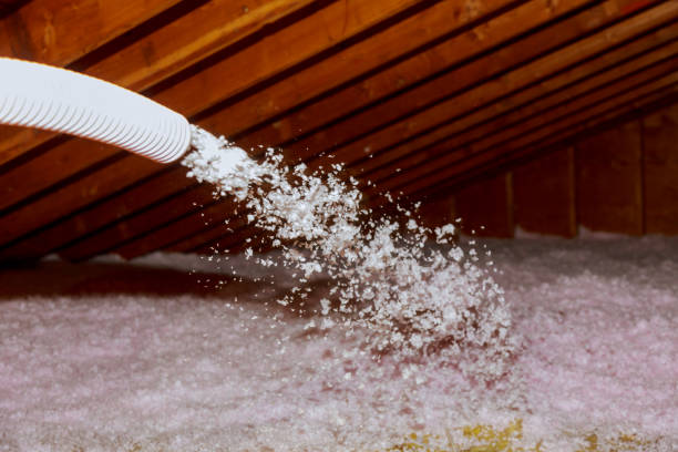 Best Residential Insulation Services  in Longview, TX