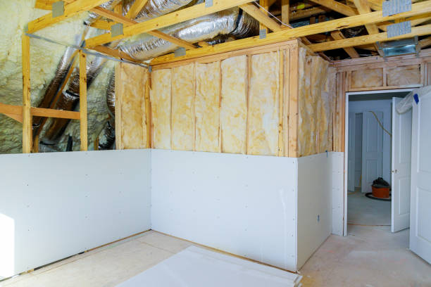 Best Insulation Removal  in Longview, TX