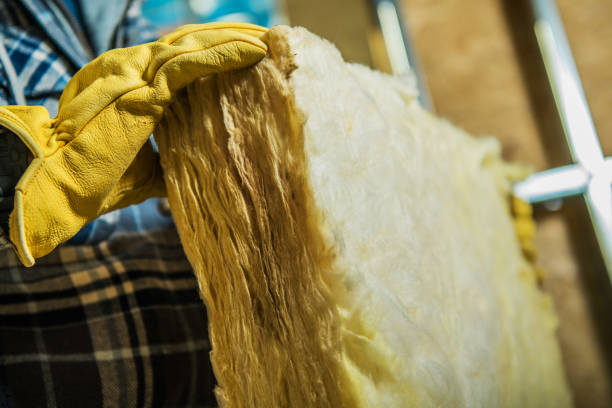 Best Professional Insulation Contractor  in Longview, TX