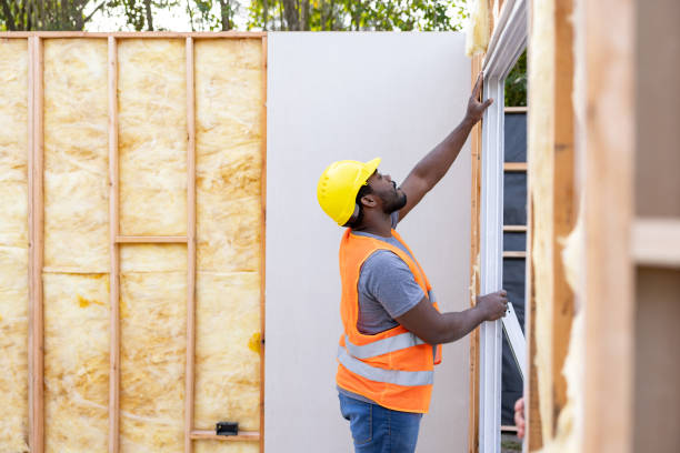 Best Insulation Repair Services  in Longview, TX