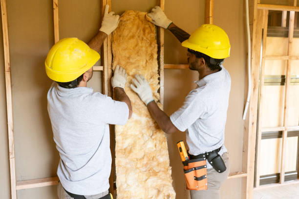Best Soundproof Insulation Installation  in Longview, TX