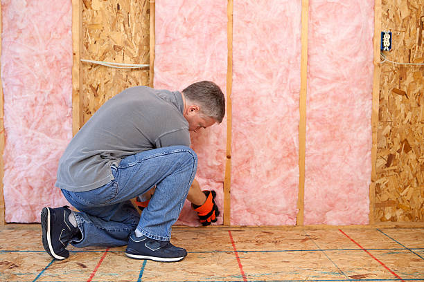 Best Insulation Removal  in Longview, TX