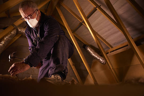 Best Attic Insulation Installation  in Longview, TX